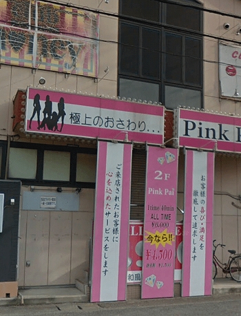 ����̃s���T��